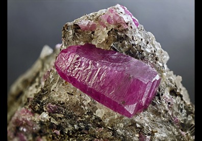 Ruby image 4